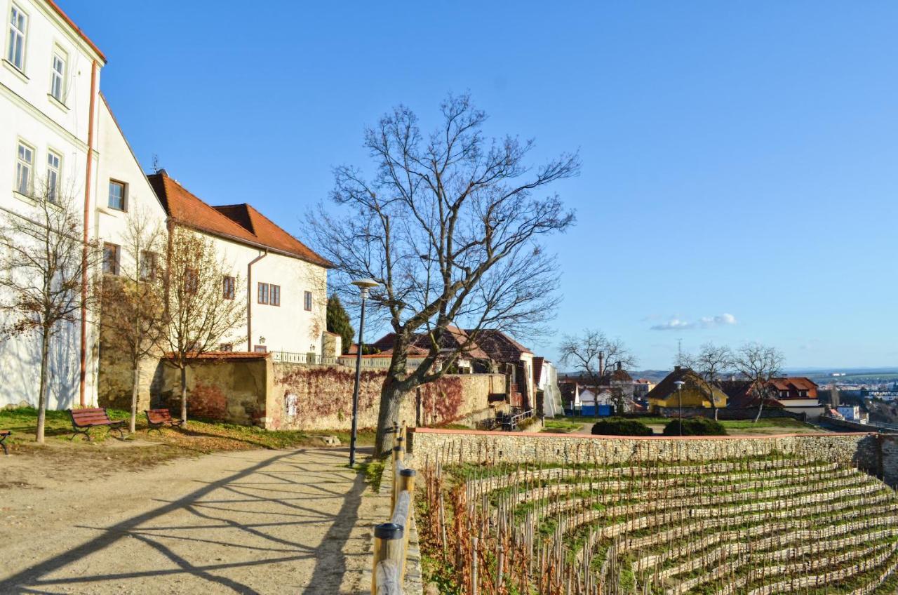 Apartments 3 In The Historic Part Of Znojmo Luaran gambar